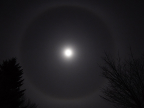 DSCF5030-5.jpg